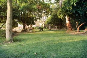 Гостиница Hosting Orchard  Beit Hillel